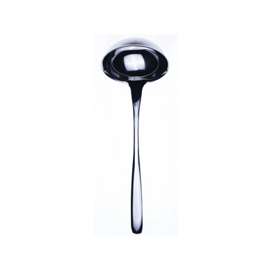 Avanguardia Stainless Steel Ladle