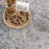 Gaeli Machine Washable Medallion Blue Area Rug