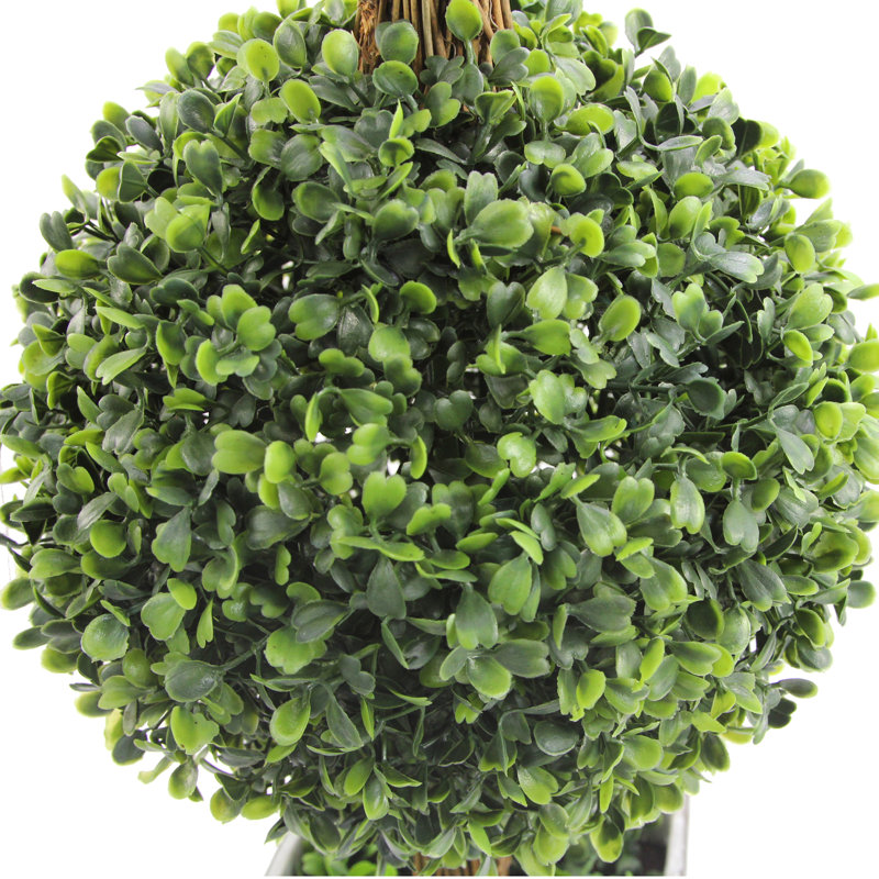 Double topiaire buis en pot en forme de boule de bureau