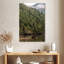 Alvord Great Bear Rainforest Grizzly-108250428