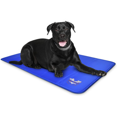 Tapis pour chien Audreigh