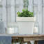 Calabro Pot Planter-465362694-465362686