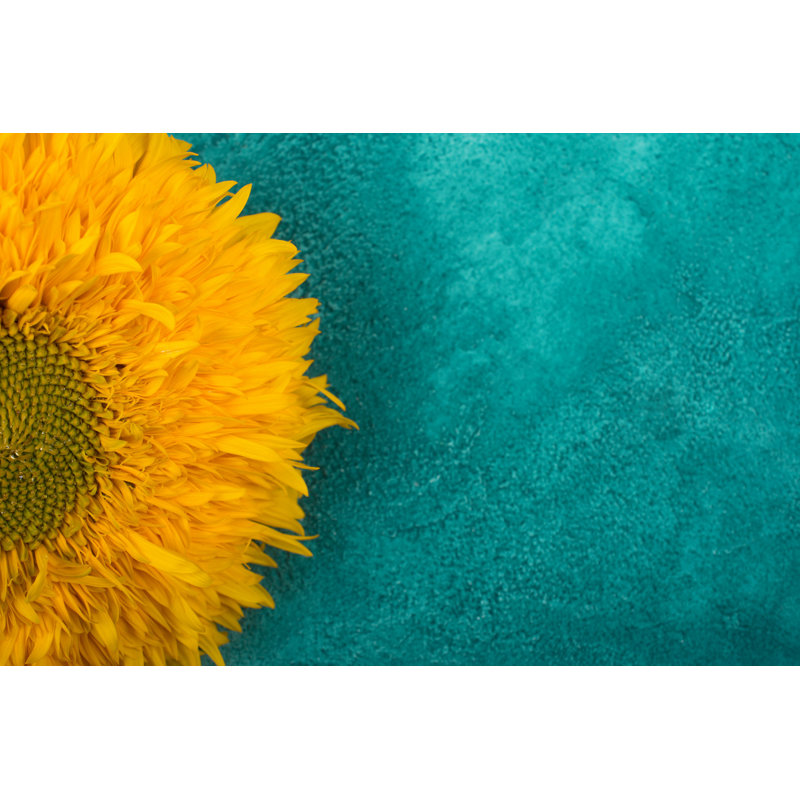 Tournesol jaune vif - Photographie sur toile tendue, H 8 po x l 12 po