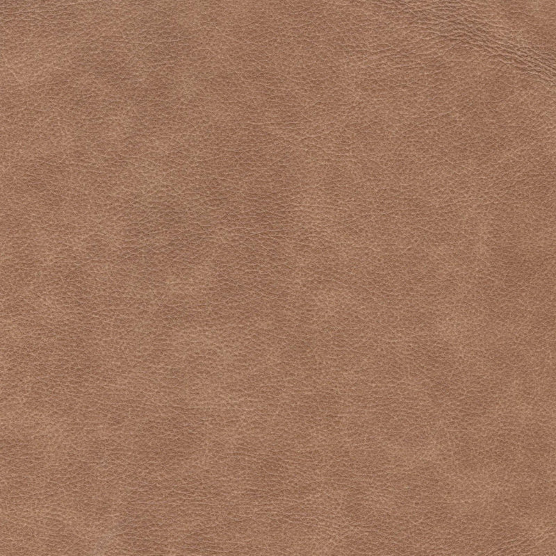 Modern Sofa  Leather Sofa, Camel