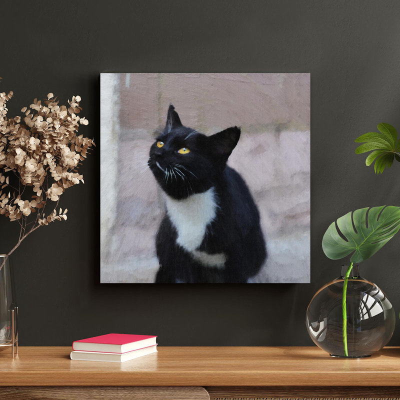 Tuxedo Cat Sitting On Floor - 1 pièce, impression carrée sur toile tendue, L 32 po x H 32 po