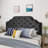 Queen & Full Sized Headboard - Velvet Covering With Button Diamond Stitch And Charming Nailhead Accents, Assembly Required Black Modern Design Stylish Details, Necessary-229481617-229481711