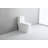 KDK HOME One Piece Toilet Torando Dual Flush Siphon Jet Toilet-96466605