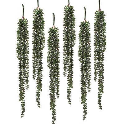 Lover's Tears Succulent Swags - Set of 6 - Green