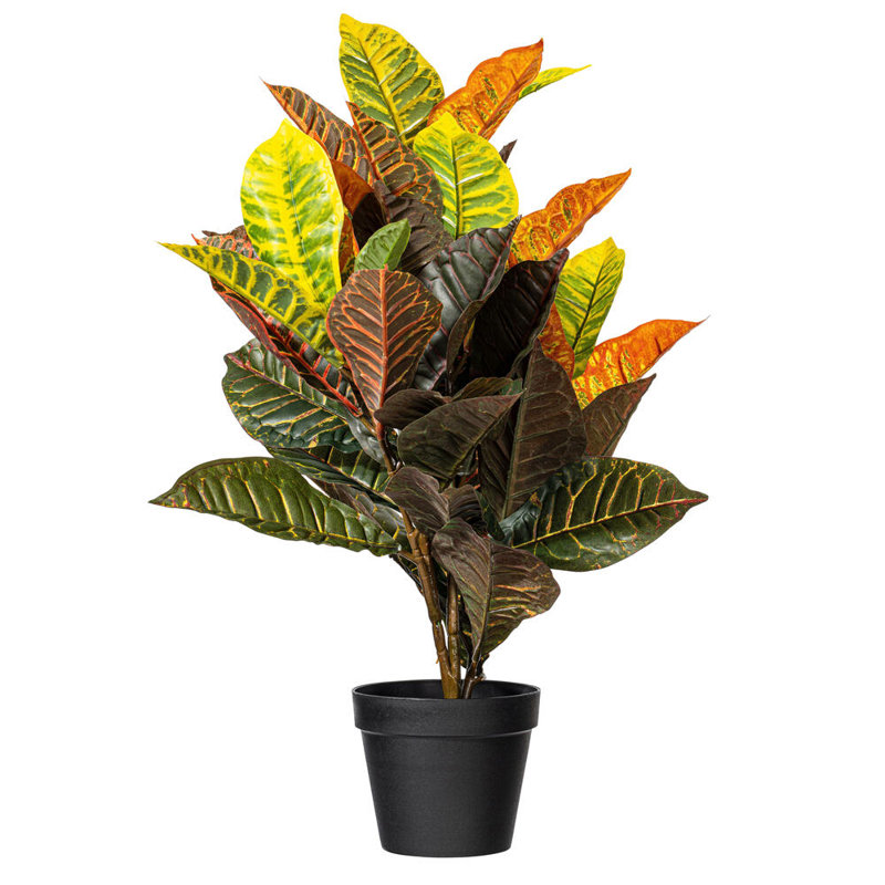 Croton artificiel 30 po