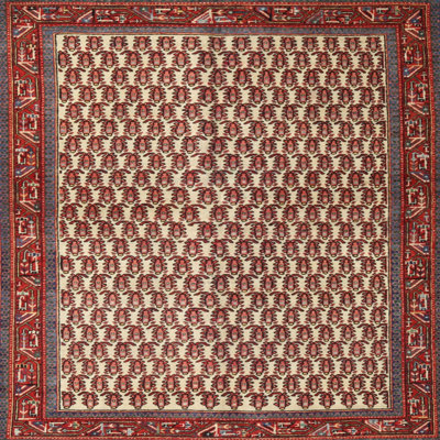 Oriental Indoor Rug