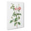 Prickly Sweet Briar Rose In Pink by Pierre-Joseph Redoute - Wrapped Canvas Print-55322409
