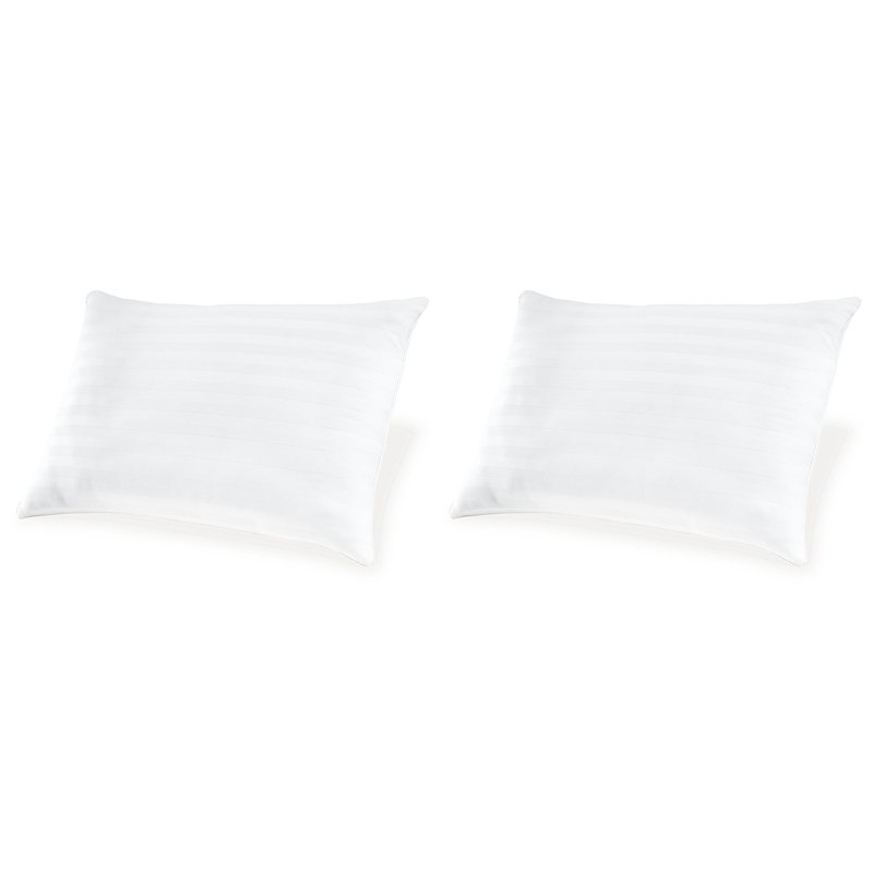Zephyr Hypoallergenic Polyester Pillow Set of 2