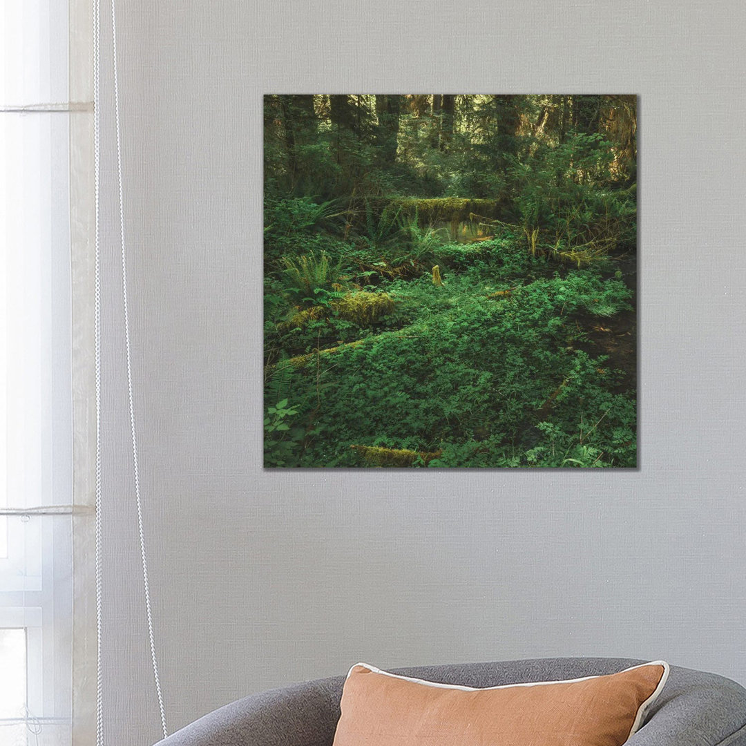 Olympic Rain Forest von Louis Ruth - Galerie-verpackte Leinwand Giclée