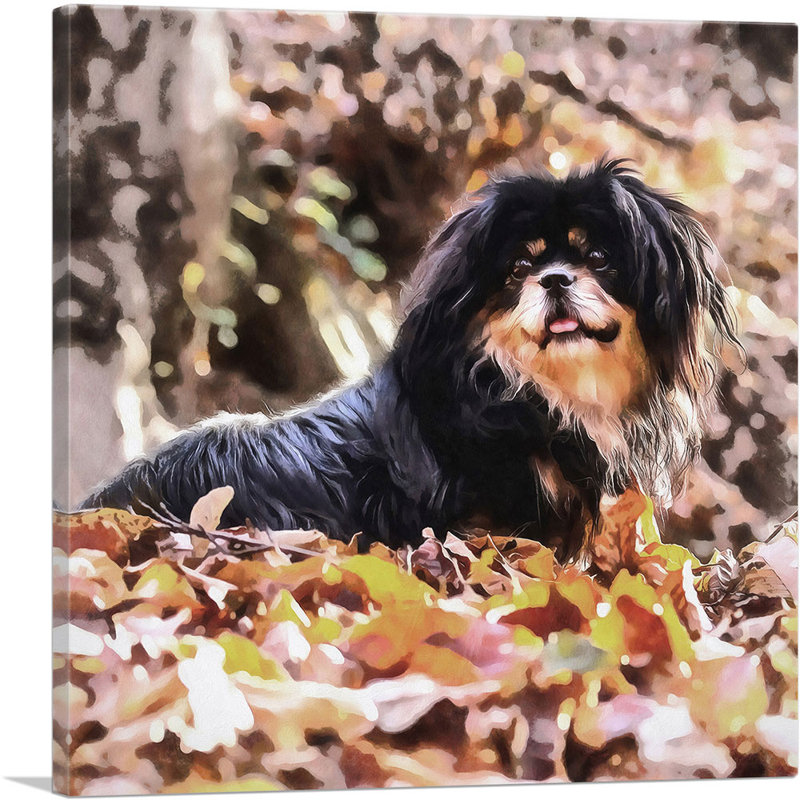 Tibetan Spaniel Dog Breed - reproduction de photo sur toile tendue, H 26 po x l 26 po x P 0,75 po