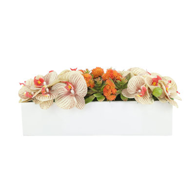 Orchid and Sedum Arranged in Fiberstone Planter