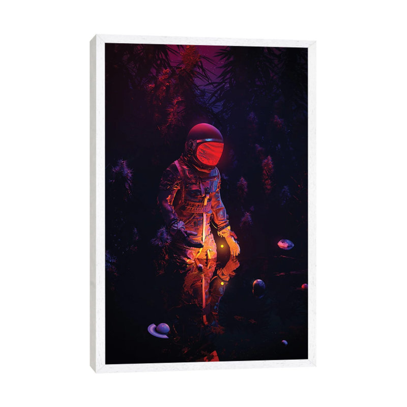 Stellar Spot 1 Piece Wall Art on Canvas, 66.04cm H x 45.72cm W x 3.81cm D, White Framed