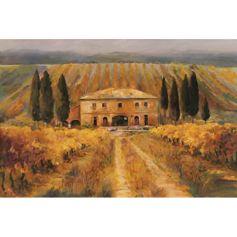 Toscana Vigna Special by Marilyn Hageman - Wrapped Canvas Art Prints, 61cm H x 91cm W x 3.8cm D