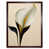 Brown Framed Paper is out of stock selected