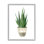 «Pots Aloe Plant Casual» par Rachel Nieman - cadre flottant, impression sur bois