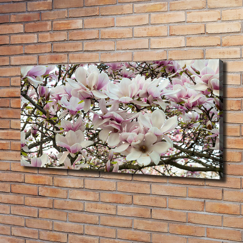 Magnolia Flowers - Wrapped Canvas Print