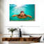 Tortue verte de Maui sur toile-1325578237