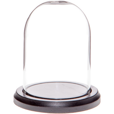 Vucciria 3" x 4" Glass Display Dome Cloche