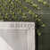 Amier Soho Hand Tufted Wool And Viscose Floral Rug