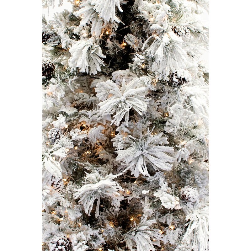 Mercury Row® Lighted Pine Christmas Tree & Reviews | Wayfair