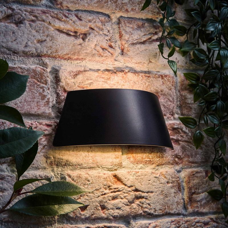 Deneesha Matte Black 8cm H Integrated LED Outdoor Sconce