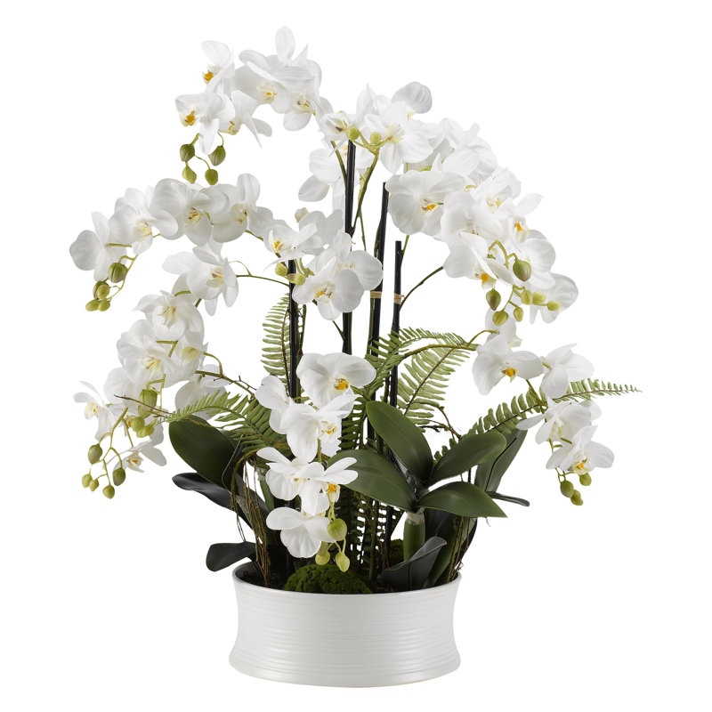 White Orchids - Round White Ceramic Dish