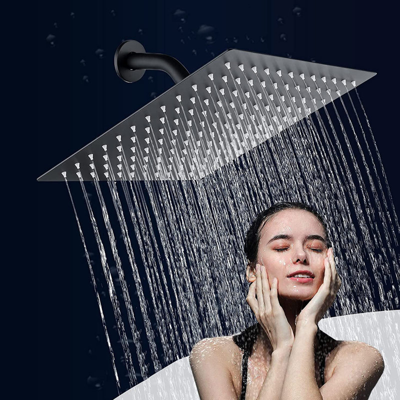 Pomme de douche multifonctionnelle