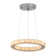 Aadhavan 1 - Light Chandelier