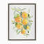 «Orange Citrus» par Patricia Shaw, reproduction d'art sur toile encadrée
