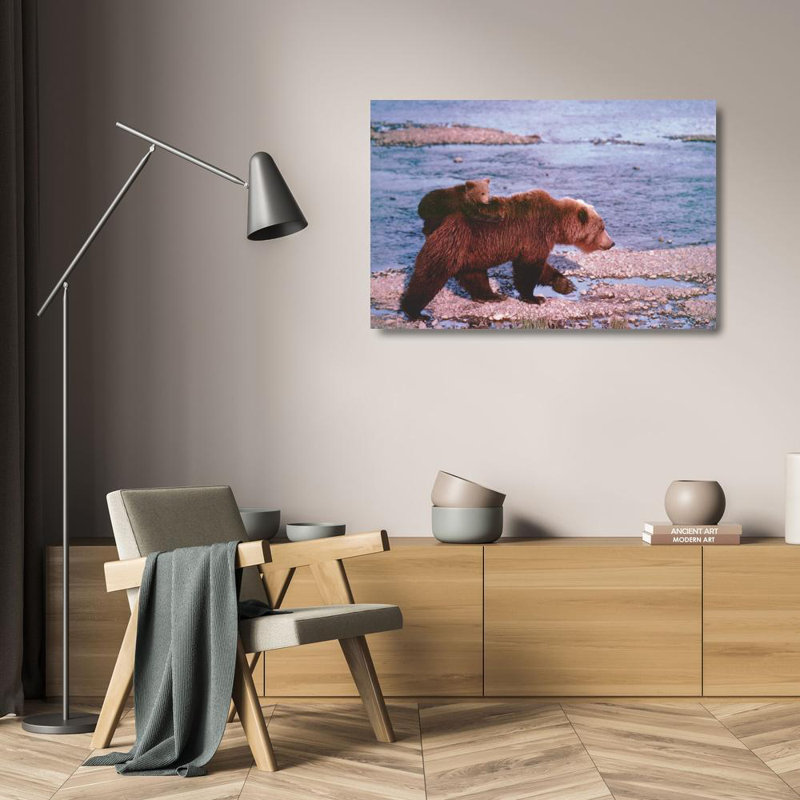 Brown Bear Carrying Cub, Alaska