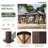 Double Roof Gazebo-111112073-111112074