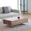 Walnut Manufactured Wood Rectangular Coffee Table-98896916