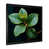 Black Single Picture Framed selected