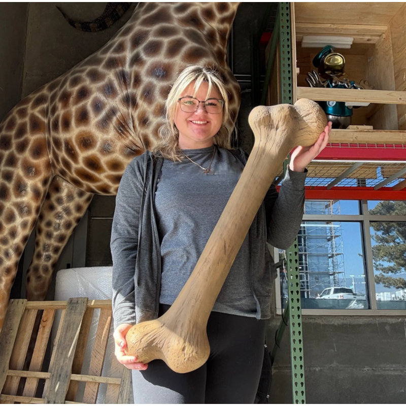 Large Dinosaur Bone Life Size Statue