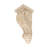 12-1/2 in x 5-1/8 in x 5-3/8 in Unfinished Hand Carved Solid Acanthus Leaf Wood Corbel-51893809