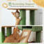 Cat Tree For Indoor Cats, Large Condo, Sisal Scratching Posts, Hammock & Perch, Fresh Cactus Design, Sturdy, Multi-Level