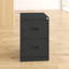 46.5cm Wide 2 -Drawer Steel File Cabinet-27057614
