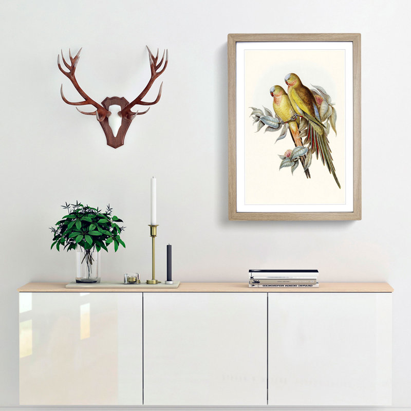 Princess of Wales's Parakeets by Elizabeth Gould - Picture Frame Painting Print, 65cm H x 48cm W x 2cm D, Oak Framed