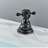 2-handle Bathroom Faucet