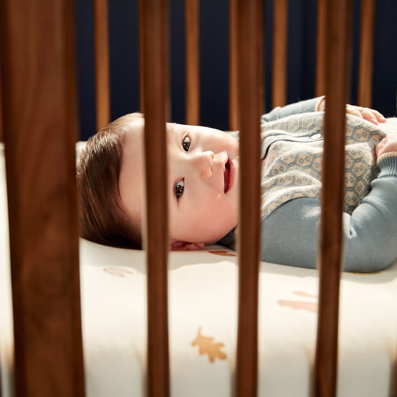 Embraced Forms 4-in-1 Convertible Crib