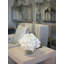 Hydrangea In Glass Vase