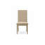 Ensemble de 2 chaises d'appoint rembourrées Rio