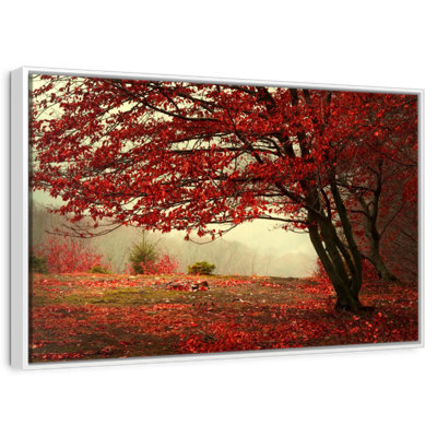 Arbre rouge en automne