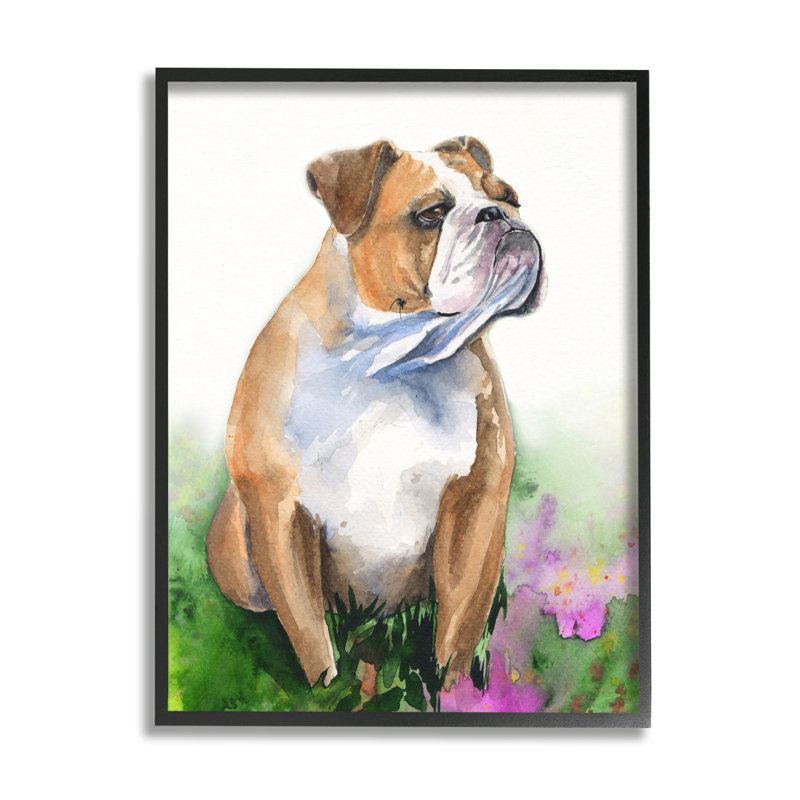 Bouledogue anglais, fleurs d'herbe, aquarelle douce, H 14 po x l 11 po, Giclée encadrée noir minuit