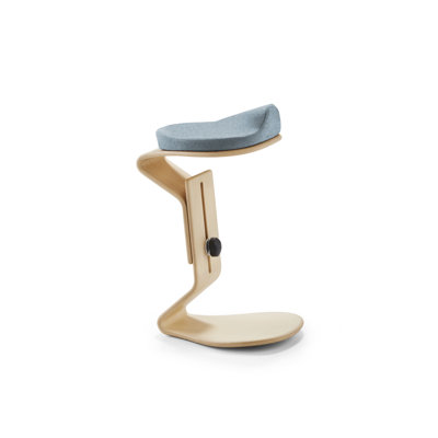 Adjustable Height Ergonomic Active Stool