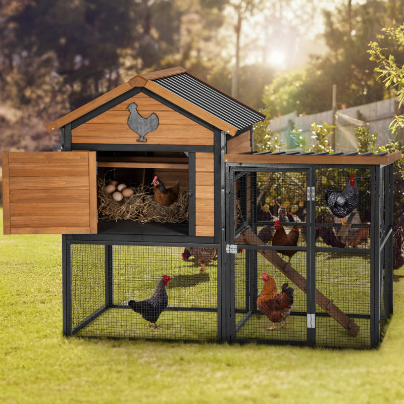 Poulailler en bois et en fer durable avec piste et toit imperméable, convient pour 5 à 7 poulets, nichoir intégré